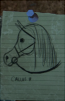 Callus