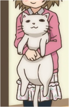 Nyanta {HS}'s image