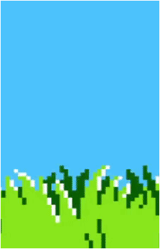 Duck Hunt Dog