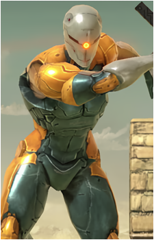 Gray Fox's image