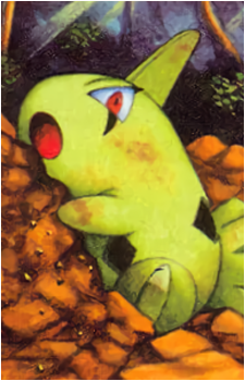 Image 22
