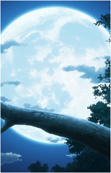 Image 31