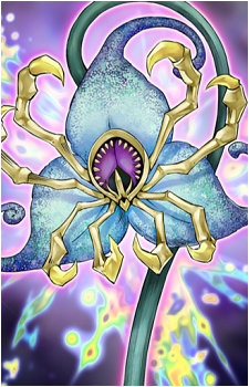 Predaplant Spider Orchid's image