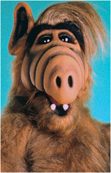 Alf's image