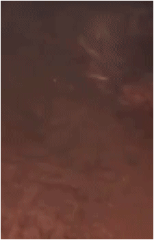 Image 24