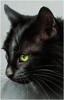 Shadowstar's image