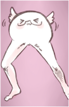 Mochi America