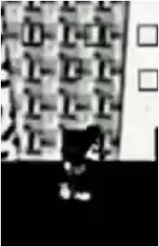 Suicide Mouse