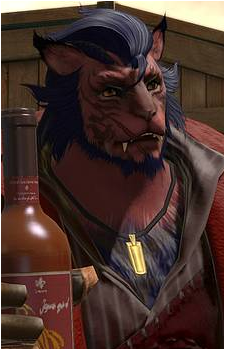 Magnus's image