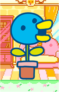 Kusatchi's image