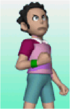 Skipper's image