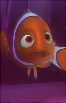 Coral's image
