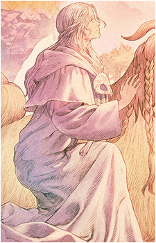 Image 13