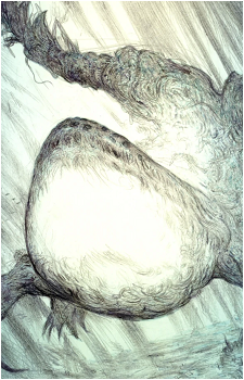 Image 2 Image 2