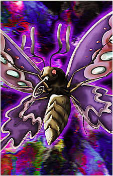 Poison Butterfly's image