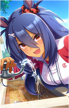Hishi Amazon