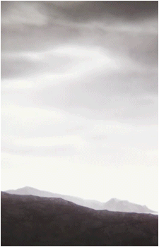 Image 7 Image 7