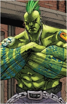 Hulk (Robbie Banner)'s image
