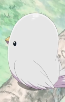 Pierre {APH}