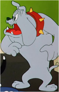 Hector the Bulldog's image