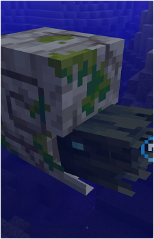 Zombie Nautilus