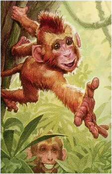 Kibo's image