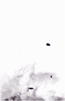 Image 47