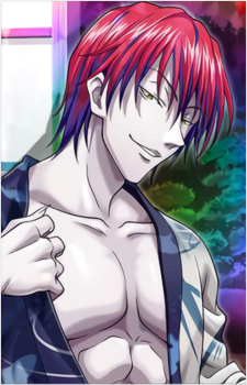Image 12 of Hisoka