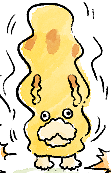 Image 38