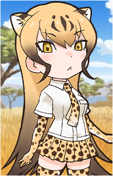 Cheetah's image