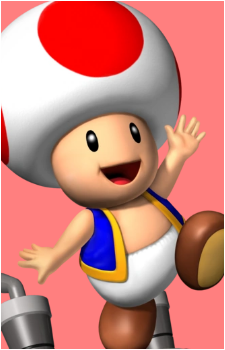 Toad