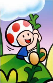 Toad