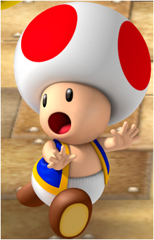 Toad