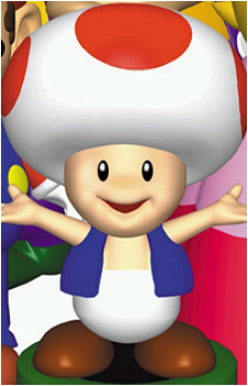 Toad