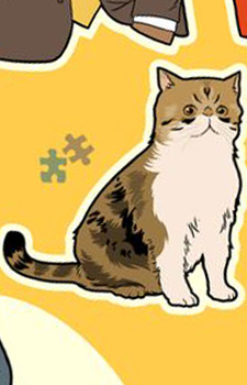 Ferguson's image