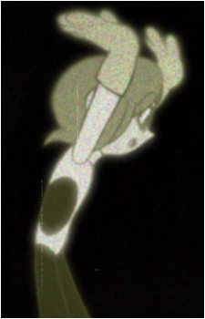 Popo {Kaiba}