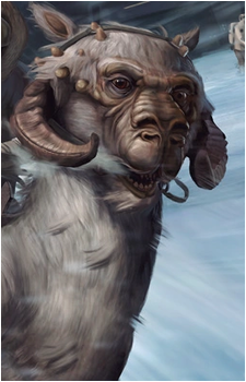 Murra's image