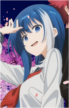 Image 20