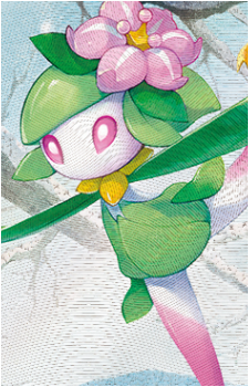 Image 34