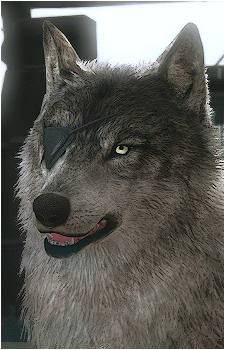 DD's image