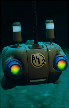 B-12's image