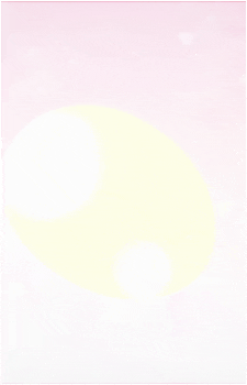 Image 14