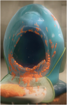 B.O.B.