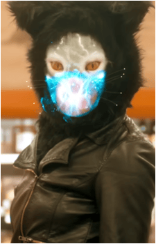 Seafox's image