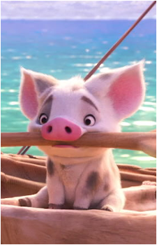 Pua