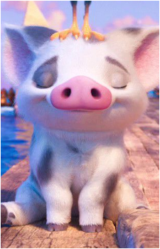 Pua