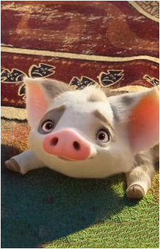 Pua
