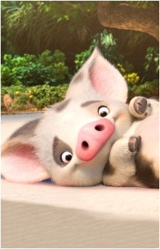 Pua