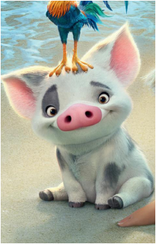 Pua