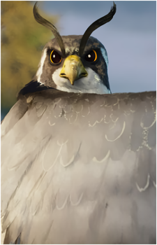 Thunderbolt {TWR}'s image